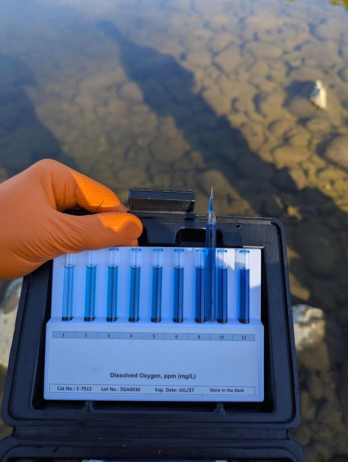 Testing PPM of Dissolved Oxygen, Grand River, ON.