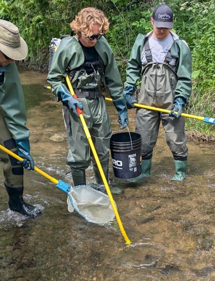 Electrofishing in Aurora, ON