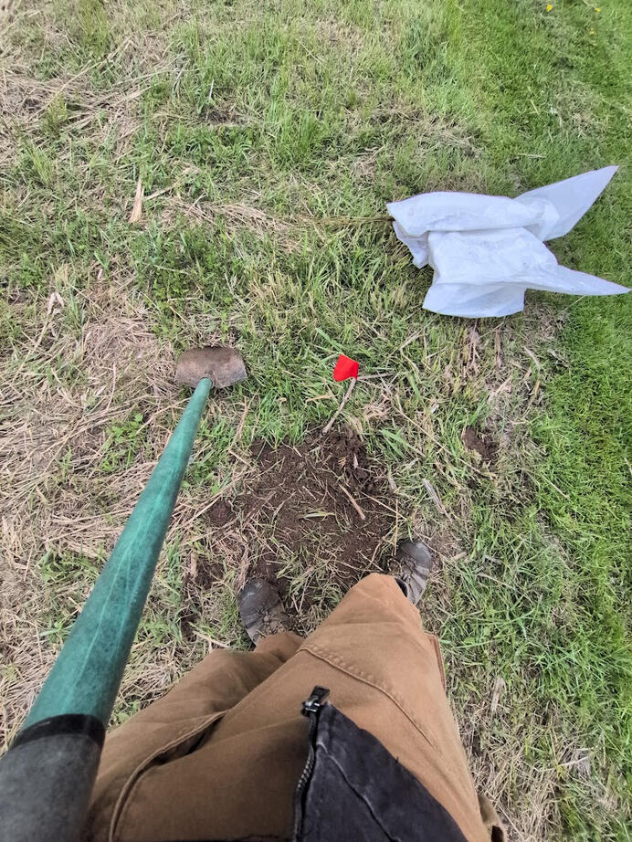 Tree Planting for creek restorations, Nith River, ON.