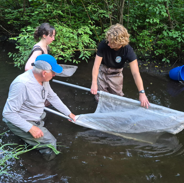 Using a giant 500um mesh net to collect organisms