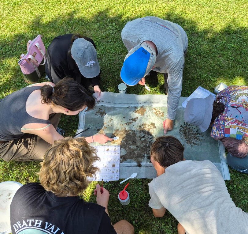 Sorting through samples to collect organisms